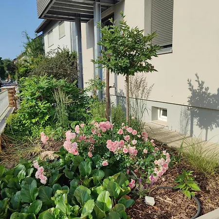 Mona Lisa * Groß-Umstadt